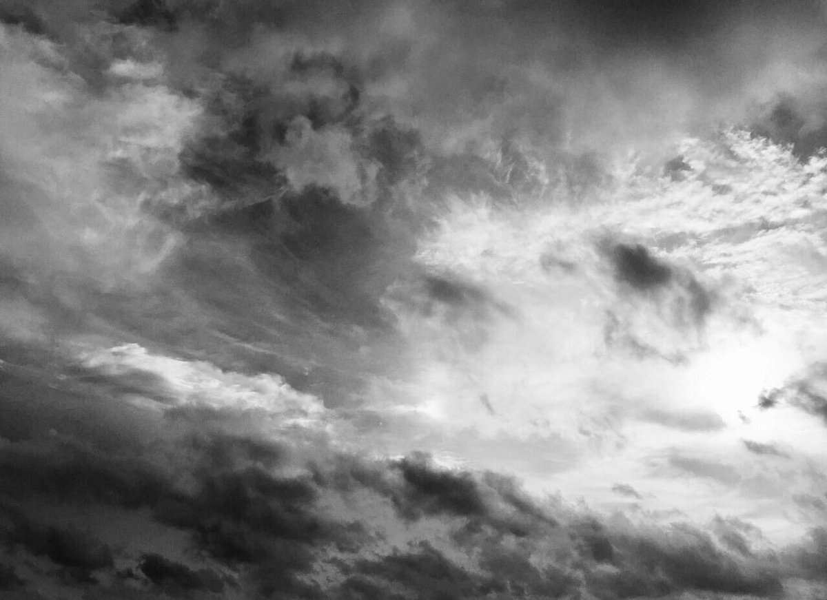 𝑆𝑊𝐴𝐼𝐷𝐴 𝐻𝐸𝑅𝑇🜒💙🇮🇶 tweet media