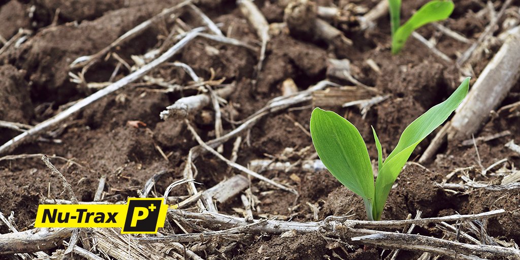NuTraxP's tweet photo. We want to make sure you stay informed on #NuTraxP+, as well as other new innovations from Compass Minerals! Follow us at our new account @CompassCrops so you don't miss out. This account is closing soon. #plantnutrition https://t.co/DwQYwTYY46