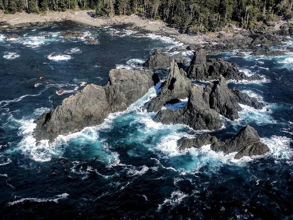 BridalBeach's tweet photo. Journey To The Edge Of The World And Discover The Spirit Of Haida Gwaii @travel2next https://t.co/g6qmbqweIX #explorecanada https://t.co/fejexWWhMX