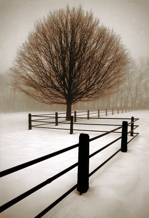 .

이상하다!

뭔가를 사랑하지 않는 사람들을 보면 이상하다.

그 모든 것들은 곧 사라질 텐데
어떻게 사랑하지 않을 수 있을까?

이상하다!

주변에 있는 모든 것들이 사라지기전에 열심히, 진중하게 사랑해야것다.

.

m.facebook.com/story.php?stor…

꼭! 보시옵소서 
.