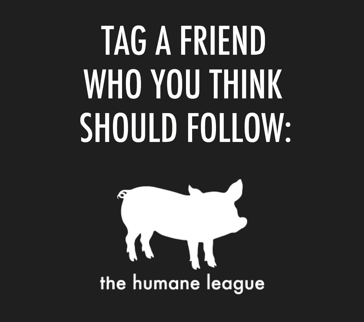 TheHumaneLeague's tweet photo. We appreciate every single one of you that support us, and the animals. 💚 #ForTheAnimals https://t.co/2kn7wzidum