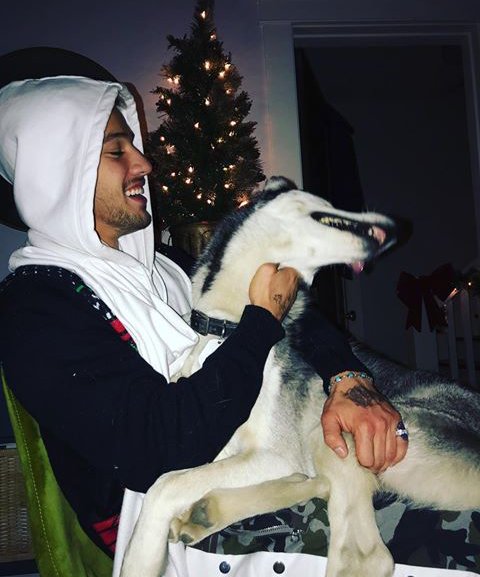 CameronDMPC's tweet image. Entering the christmas mood