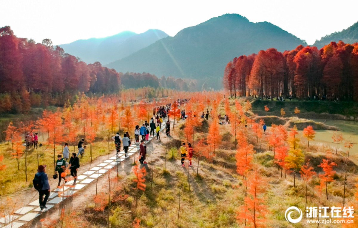 PDChina tweet picture