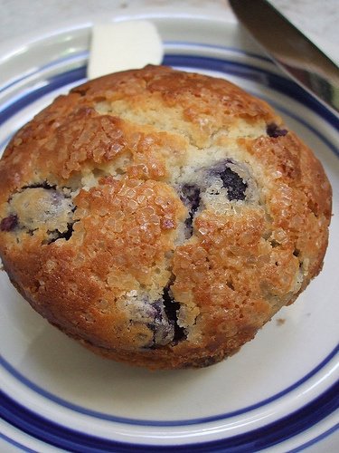 RT @HealthStandRDs: Gluten-Free Blueberry Muffins with Lemon Zest - Live Deliciously #recipes If you froze #blueberries  this summer, this is a perfect way to use them #muffins #blueberrymuffinrecipe healthstandnutrition.com/gluten-free-bl…