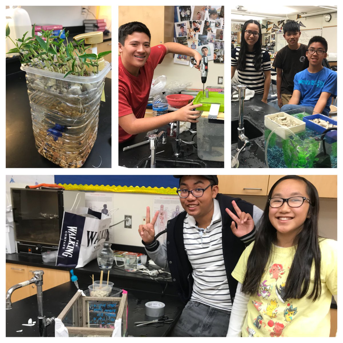mrsemilybee's tweet photo. DIY aquaponics up in here! #HBUHSDSTEAM https://t.co/RpKvDpHuvN