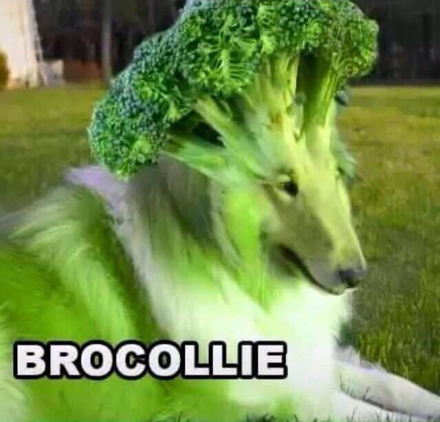 ThePunnyWorld's tweet image. 