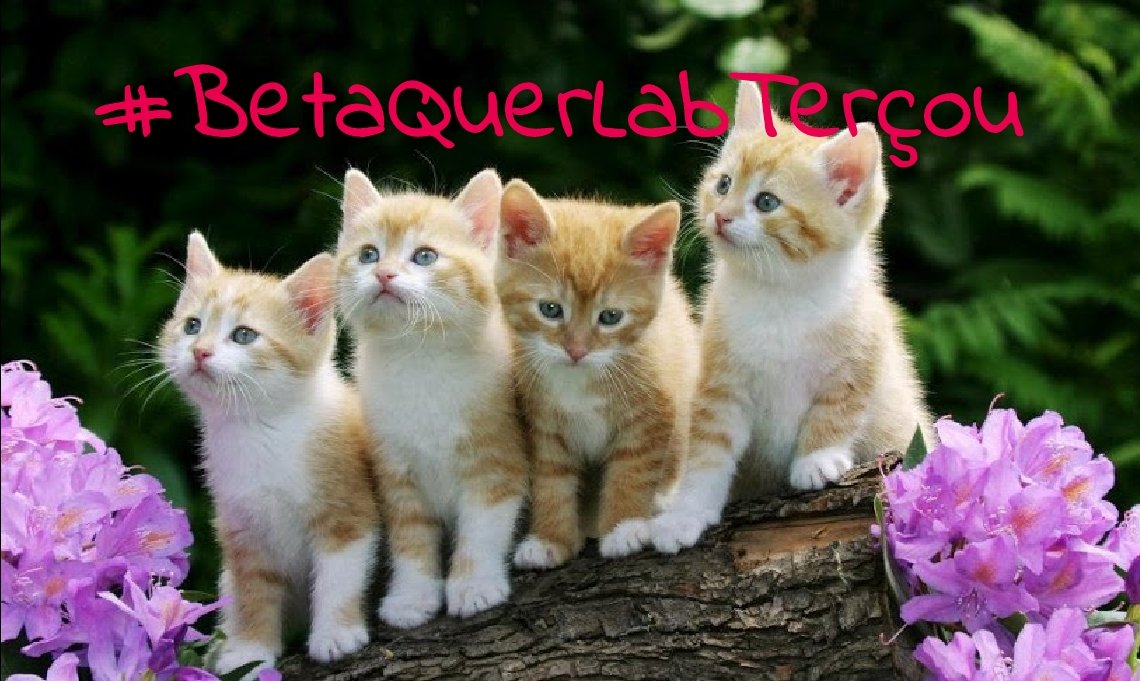 Eu acho que vi um gatinho???!!!
Eu vi, eu vi sim, eu vi um gatinho!
#BetaQuerLab 
#BetaQuerLabTerçou