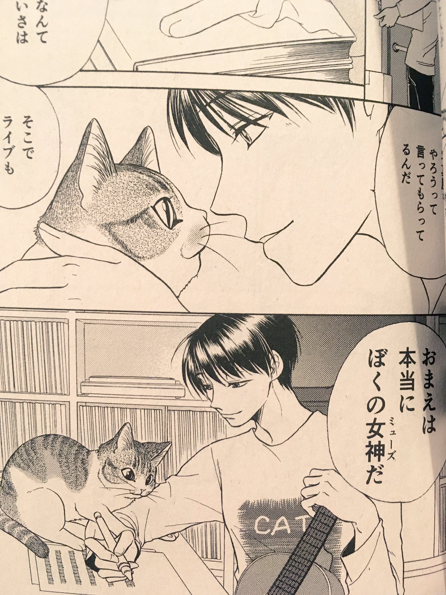 はしもとみお 現在発売中の コンビニコミックス ねこぱんち 18新年号 にて 木彫り猫の息吹 はしもとみお彫刻日誌 私の 猫彫刻を題材に実話を漫画化したお話が掲載中です 今回の主人公は ミュージシャン山田稔明さんとこのポチちゃん 感動の1話 ぜひ