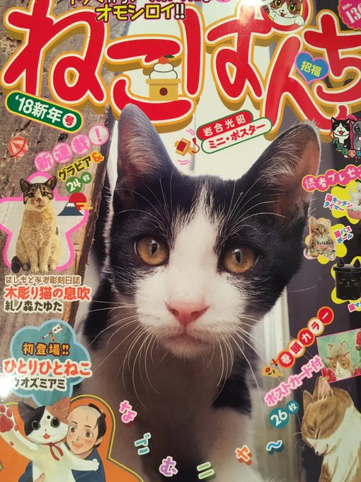 はしもとみお Hashimotomio 17年12月 Twilog