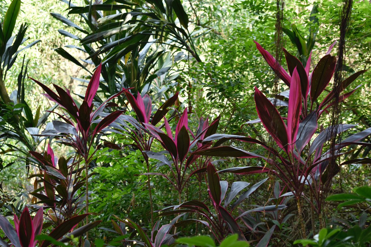 Tonerctrge's tweet image. Good breath