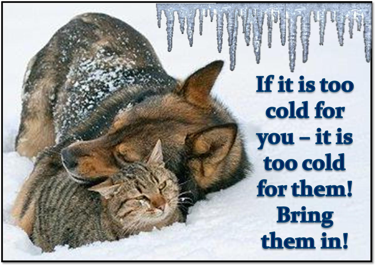 HumanePA's tweet photo. BRING THEM IN! With temperatures dropping into the frigid zone tonight, please share this reminder widely to remind everyone to bring animals inside during this freezing weather! https://t.co/ryvXjBqg6V