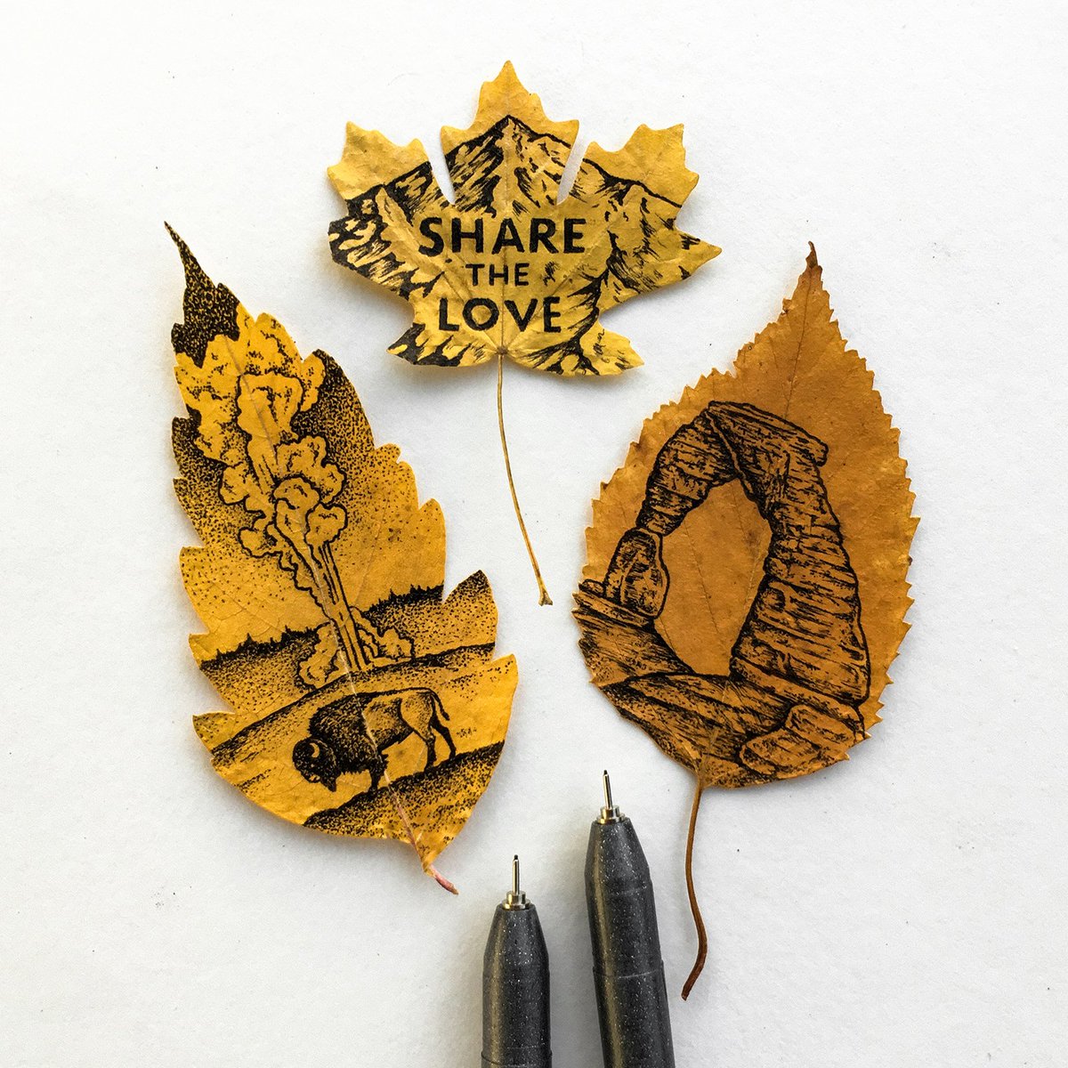 Sam Larson (@samlarson) on Twitter photo Excited to be teaming up again with <a href="/Subaru_USA/">Subaru</a> to create art pieces that will be auctioned to help raise funds for <a href="/GoParks/">goparks</a> which helps preserve and protect the beautiful places that inspire my artwork. Stay tuned! Visit subaru.com/share to #ShareTheLove | #sponsored Excited to be teaming up again with <a href="/Subaru_USA/">Subaru</a> to create art pieces that will be auctioned to help raise funds for <a href="/GoParks/">goparks</a> which helps preserve and protect the beautiful places that inspire my artwork. Stay tuned! Visit subaru.com/share to #ShareTheLove | #sponsored