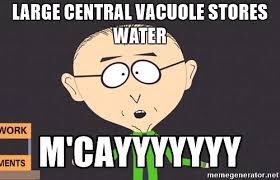 TheRealVacuole1's tweet photo. Mr Mackey knows what's up #HHSCELLection2017 #SouthPark https://t.co/RDUWsdJ1mH