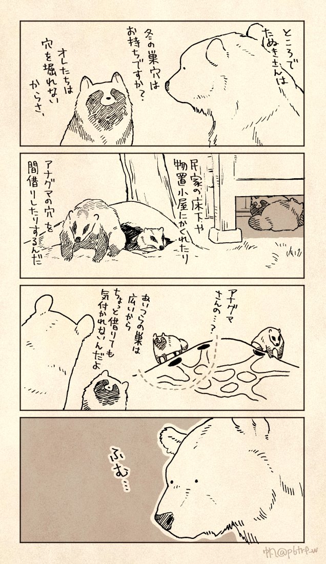 クマとたぬき　冬ごもり 