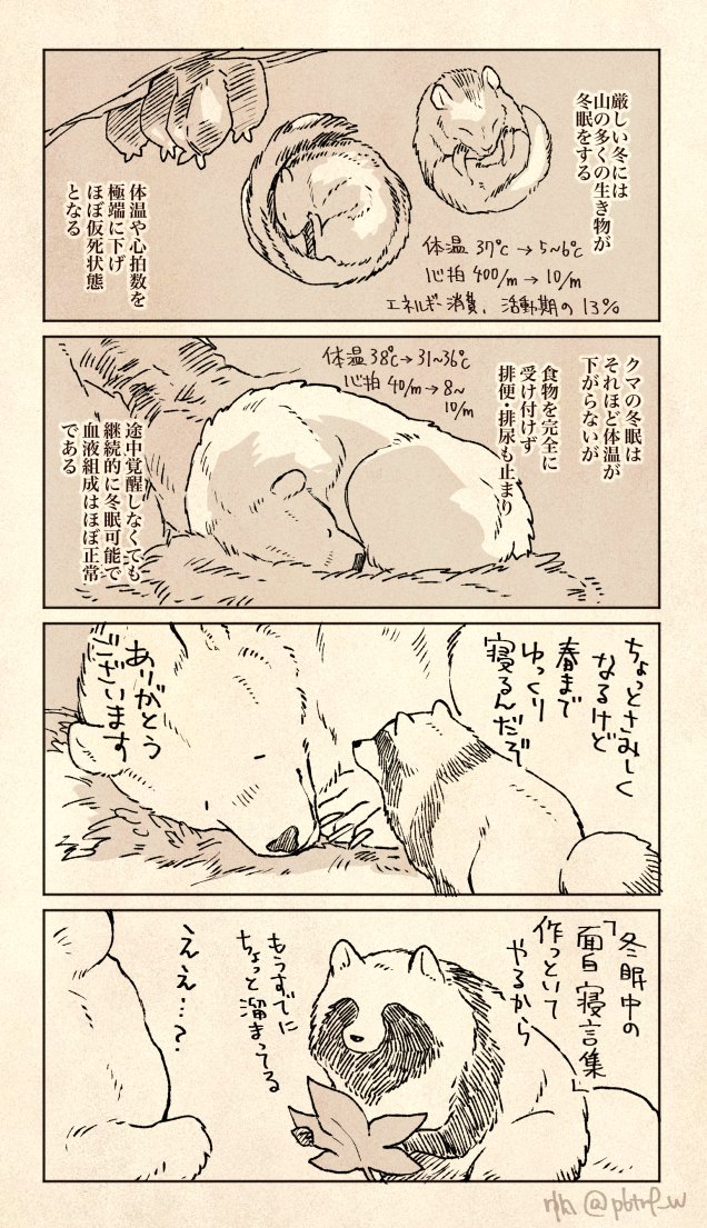 クマとたぬき　冬ごもり 