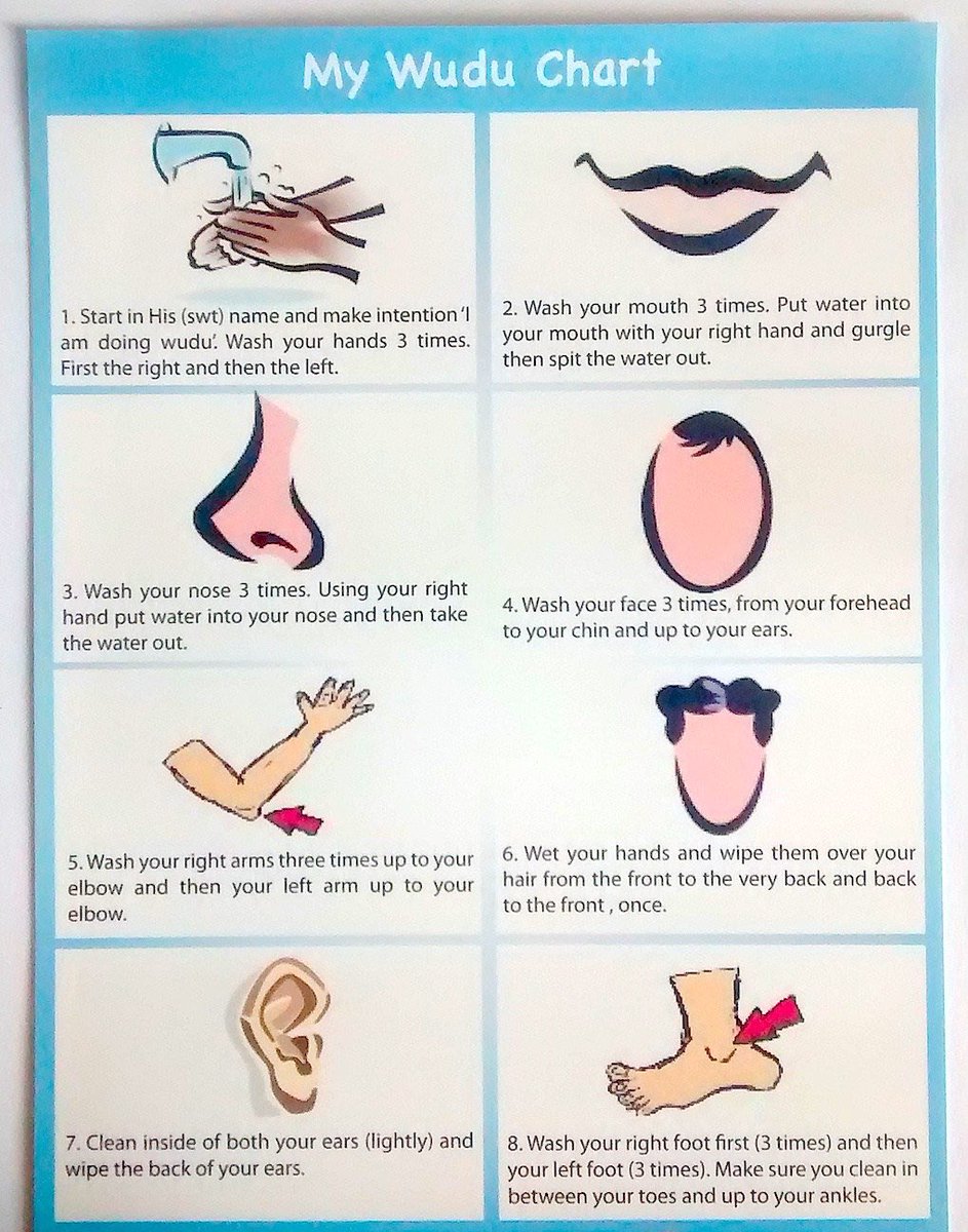 Wudu Chart