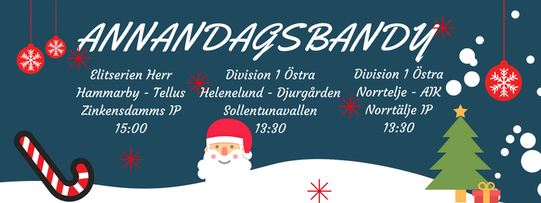 26 december 13.30 <a href="/SIFNorrtelje/">SIF Norrtelje</a> - <a href="/aikbandy/">AIK Bandy</a>