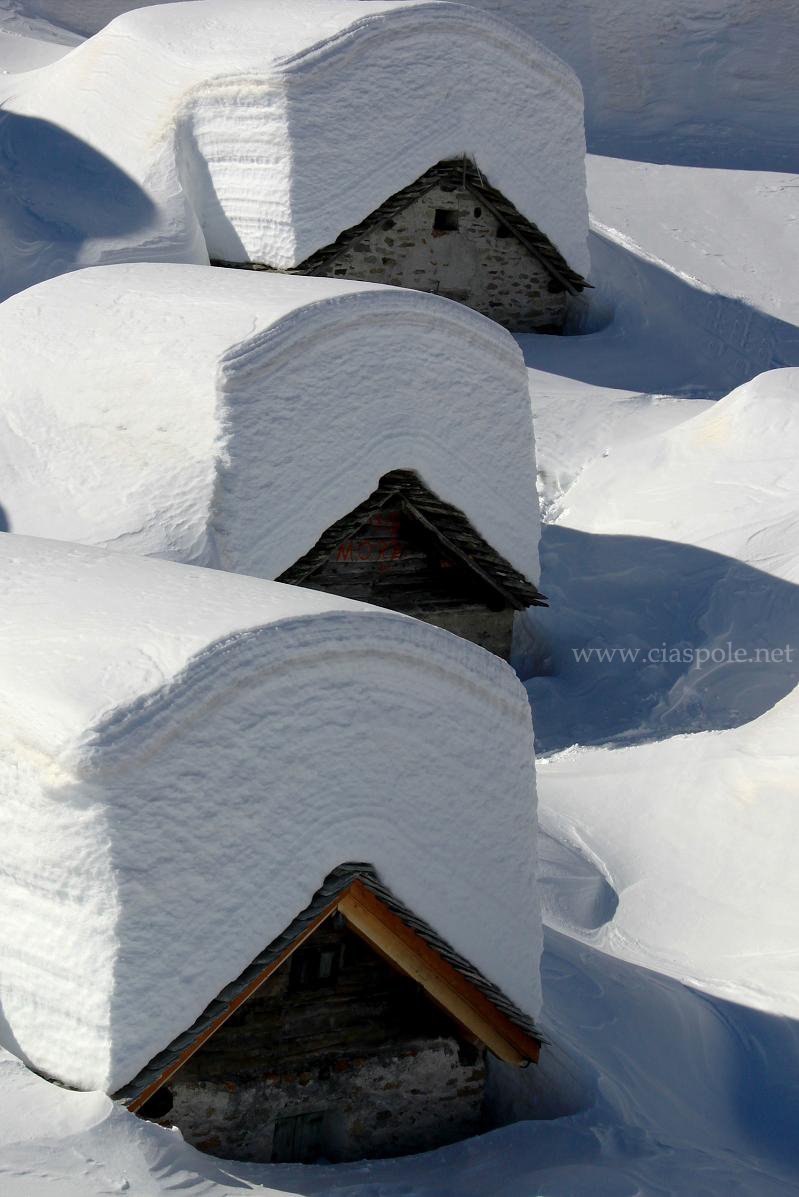 ciaspolenet's tweet photo. quanta neve ci sarà quest'#inverno sull'Alpe #Lendine?
https://t.co/wvMciLvZ87
@madesimotweet @valtellinatweet @bellavaltellina @Valtellinanews @Valtellina_news @inLOMBARDIA https://t.co/C2wVe5eupv
