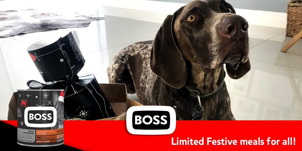 All year long he loyally follows you. Protects you. Adores you. Boss Dog Food has passionately created limited edition #BOSSFestiveCollection cans so you can say thanks to your Best Friend for the year of loyalty and love. Give your dog the gift of tasty Peak Protection Dog Food.