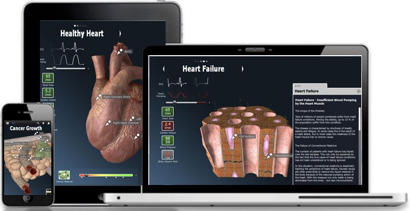 download exact analysis