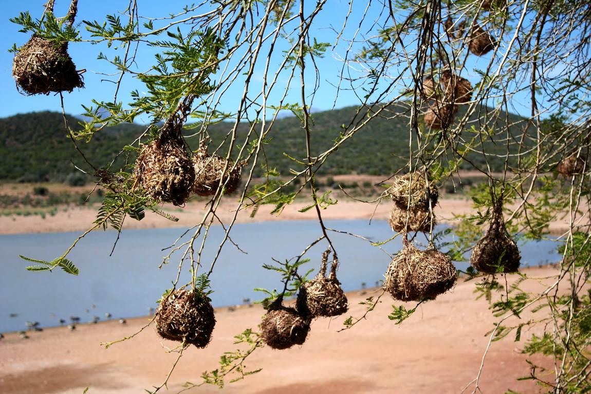 FoodBlog GardenRoute tweet media