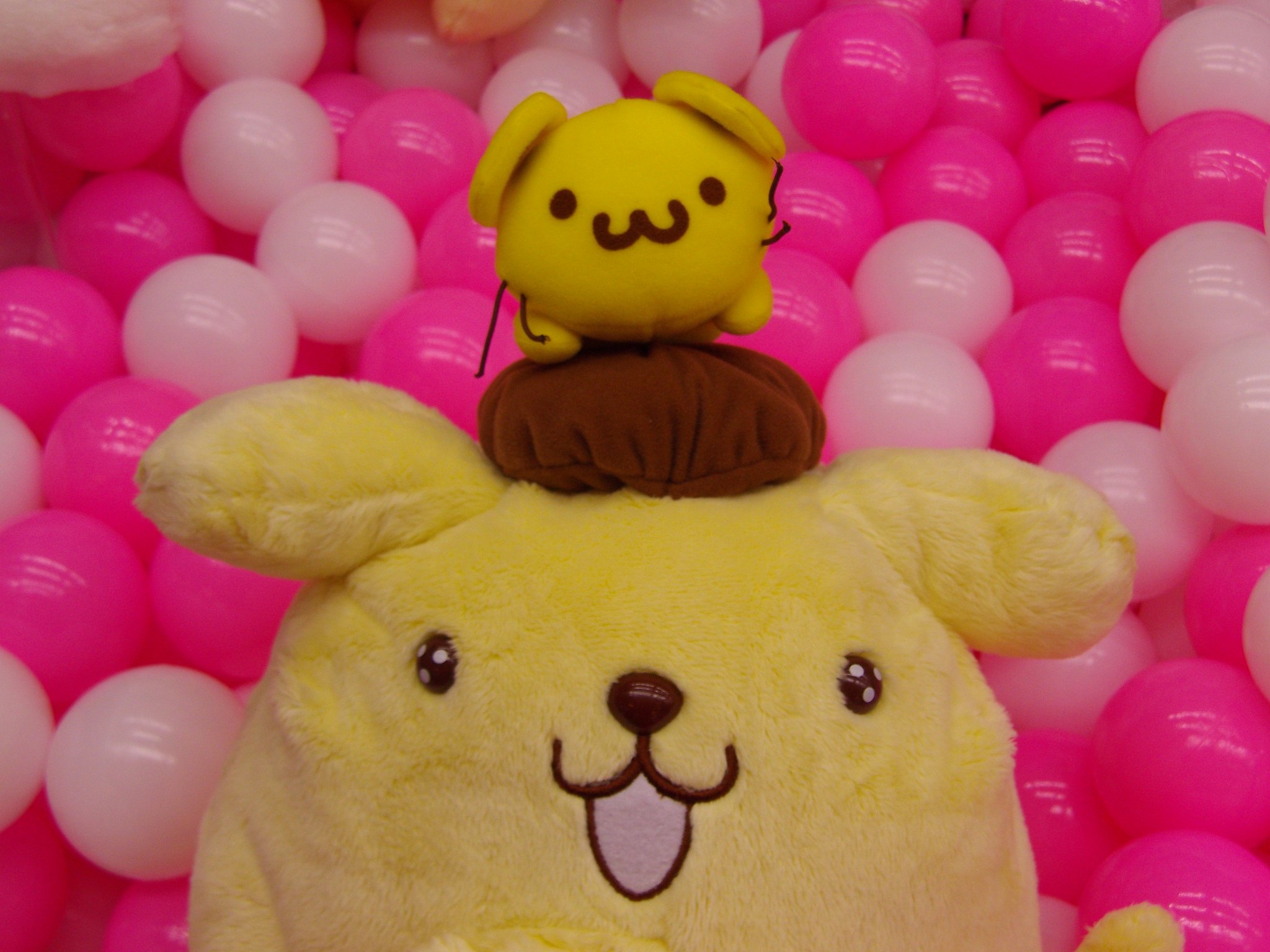 【新品】ポムポムプリン&マフィン　ぬいぐるみ　KthingS 2017 41knM+hMlRL._UF894,1000_QL80_.jpg