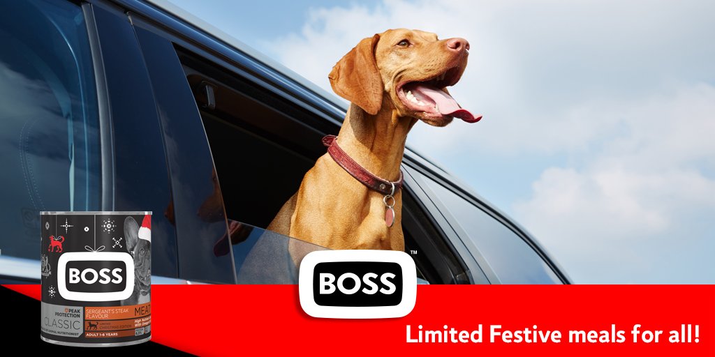 Struggling to find a holiday spot that will welcome your furry family members? Here’s a guide to some pet-friendly destinations! Don’t forget to pack their favourite meal from the #BOSSFestiveCollection holidogz.co.za/index.php