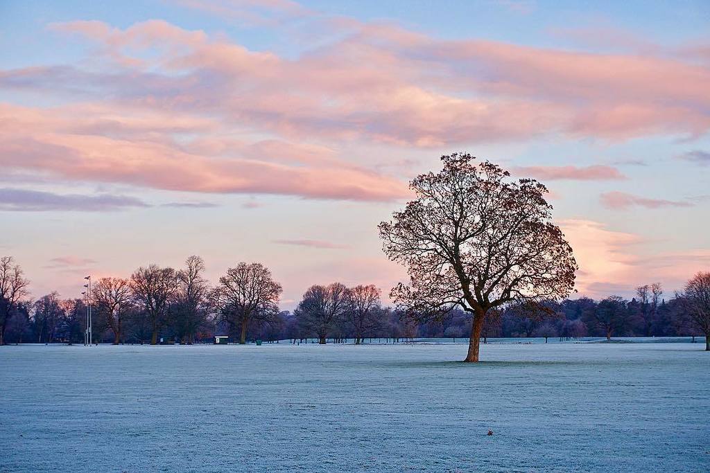 I’d be lying if I said this picture was from this morning... wish it was though 😓☔️ .
.
.
.
.
.
.
.
.
.
#perth #frost #sunrise #capturingdecember #capturingbritain #nature #park #sky #sonya6300 #allshots #justgoshoot #livefolk #travel #winter #ig_sco… ift.tt/2C9j5rK