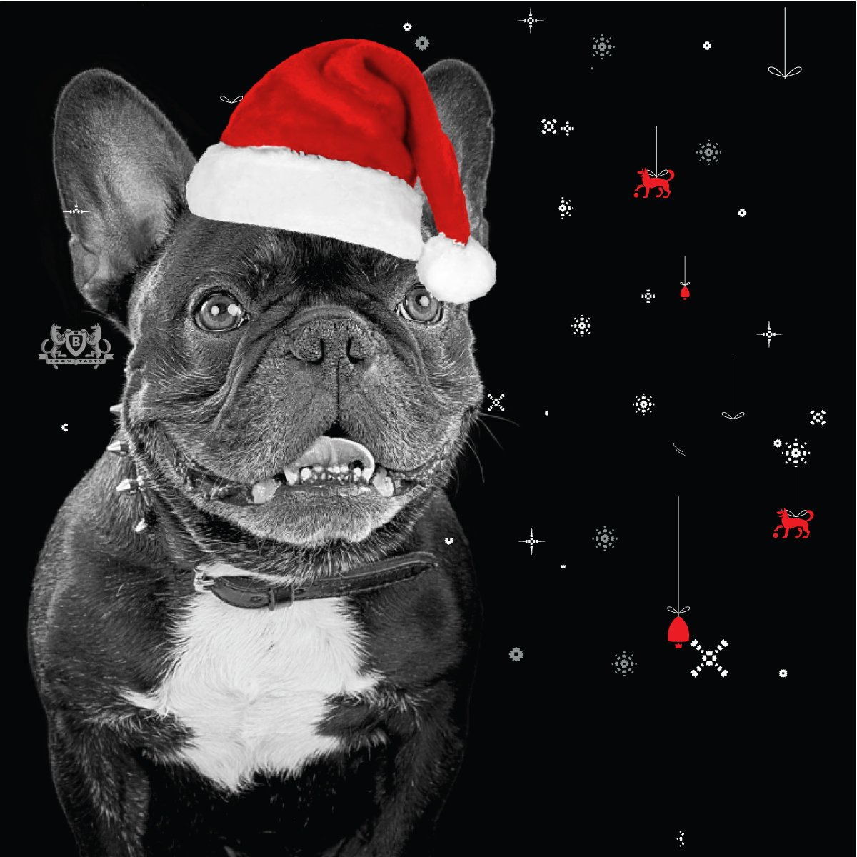Give your pets the gift of health this festive season. Boss Dog Food’s Peak Protection guarantees strong bones &amp; teeth, digestive health, improved immunity, energy &amp; vitality and shiny coats.