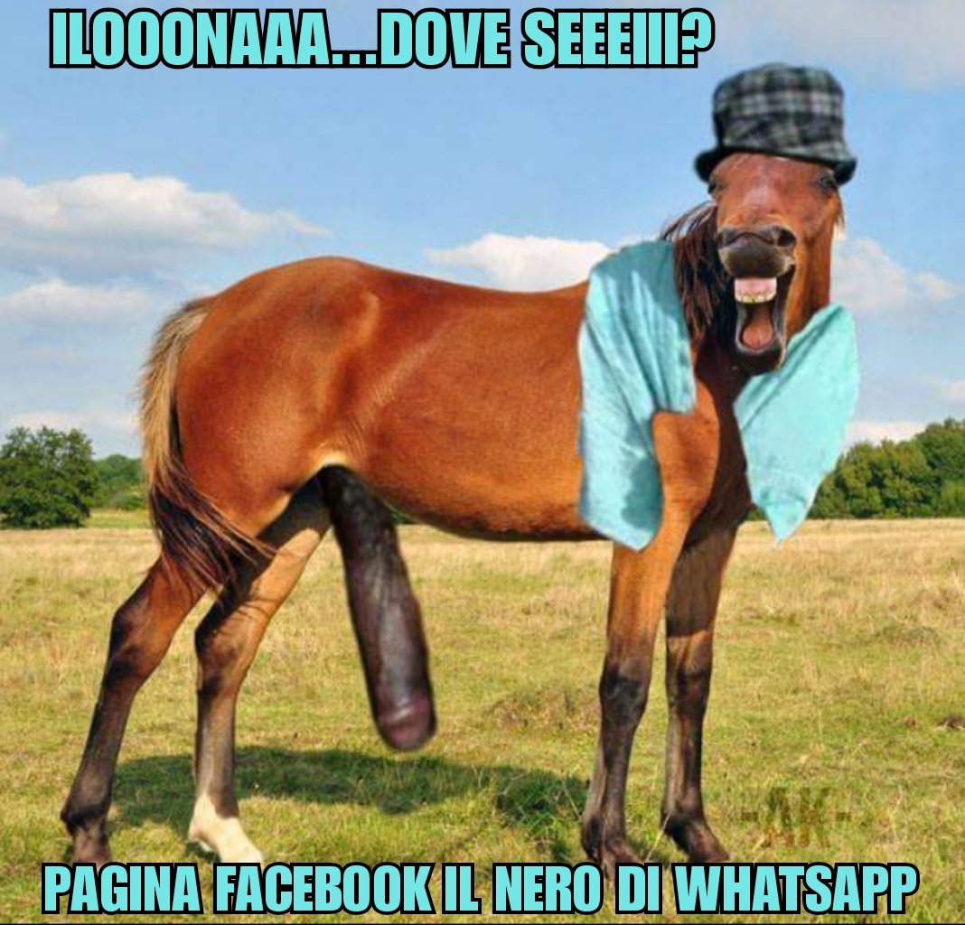 Cicciolina Horse Sex - ilona staller hashtag on Twitter