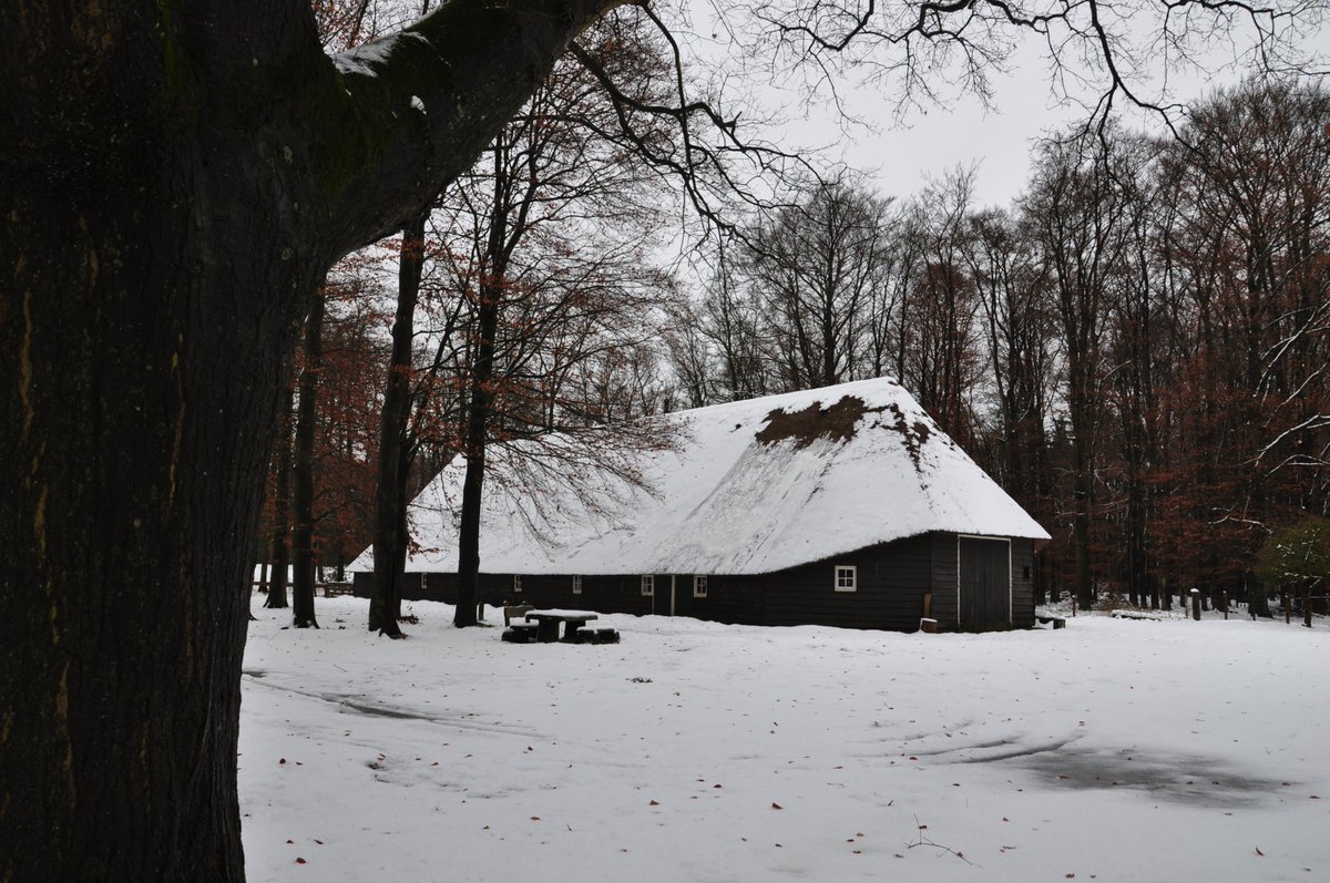 Ondanks de dooi lag schaapskooi Twilhaar er nog dromerig bij.
Inmiddels regent het natte sneeuw en spat mijn zeepbel uiteen.
Einde #wintersprookje.