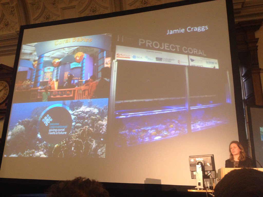 Maria Beger (@mariabeger) on Twitter photo More people visit the aquarium than sporting events! #ECRS2017 <a href="/HeatherKoldewey/">Heather Koldewey</a> plenary! More people visit the aquarium than sporting events! #ECRS2017 <a href="/HeatherKoldewey/">Heather Koldewey</a> plenary!