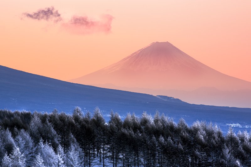 OscarTarneberg's tweet photo. Very excited to have been highly commended under the New Talent category for this year's Travel Photographer of the Year competition with a selection of shots from Japan: https://t.co/Fvc0BKxj9e #topty #travelphotography https://t.co/RDf3PQ9wVw