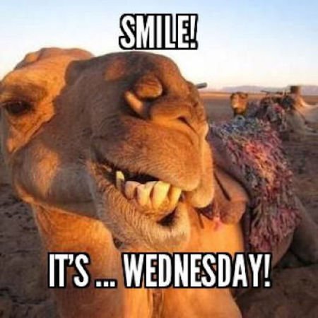 Happy Hump Day! Two more days! #UMW #finals