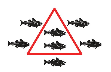 ps_cathrine's tweet photo. NEW BLOG: #AGRIFISH ministers again override scientific advice for some stocks despite looming deadline to end overfishing by 2020. https://t.co/dIpJev41ab  #CFPreality #EndOverfishing #RespectTheLimit https://t.co/CJXiwY1V7K