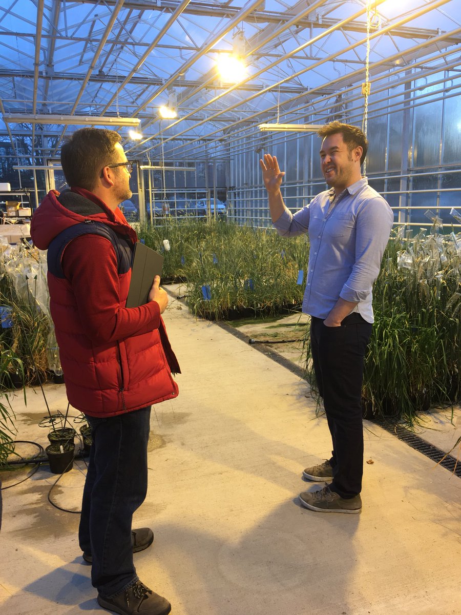 Wheat_ResearchCentre (@notts_wrc) on Twitter photo Great afternoon meeting with James Wong @Botanygeek and talking Wheat, Photosynthesis and Wild Relative Introgressions. @ErikMurchie @UoNBiosciComms <a href="/UoNBiosciences/">UoNBiosciences</a> <a href="/stelwards/">Stella Edwards</a> Great afternoon meeting with James Wong @Botanygeek and talking Wheat, Photosynthesis and Wild Relative Introgressions. @ErikMurchie @UoNBiosciComms <a href="/UoNBiosciences/">UoNBiosciences</a> <a href="/stelwards/">Stella Edwards</a>