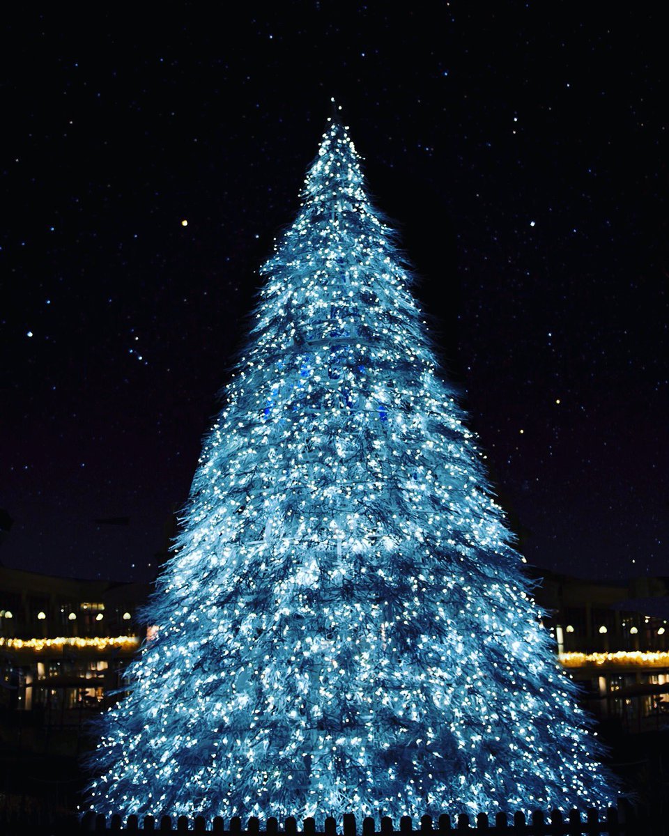 Snap Creative Photos tweet media