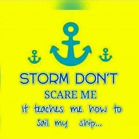 anitabrand317's tweet photo. https://t.co/LTCSGIbRC3