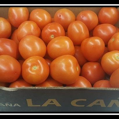 EnigmaFruits's tweet photo. ROMA/PLUM TOMATOES – SPAIN
Size M 57/67mm                € 5.75
Size MM 47/57mm            € 5.50
sales@enigmafruits.com 
watsapp 972547639777 
#enigmafruits #tomatoes #tomatoesenigmafruits 
 #vegetables #овощи https://t.co/cZBCHJSKTz