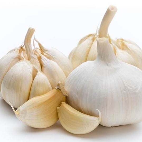 EnigmaFruits's tweet photo. GARLIC – CHINA
ALL PACKING – ALL PRICES
50+ 10KILO / 20X500 / 40X250 / 20X100 /PEELED 10X1
sales@enigmafruits.com 
watsapp 972547639777 
#enigmafruits #tomatoes #tomatoesenigmafruits 
 #vegetables #овощи https://t.co/gCXaFRZhor