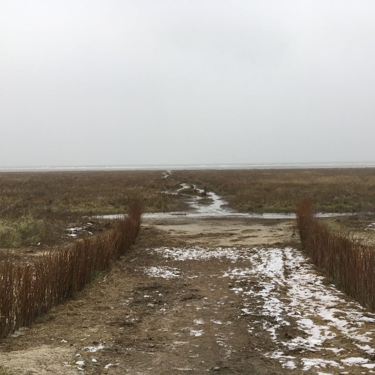 Heerlijk uitgewaaid op Schiermonnikoog. En 'uitgezwaaid' door de nieuwe burgemeester. Heel veel succes <a href="/inekevangent/">Ineke van Gent</a>