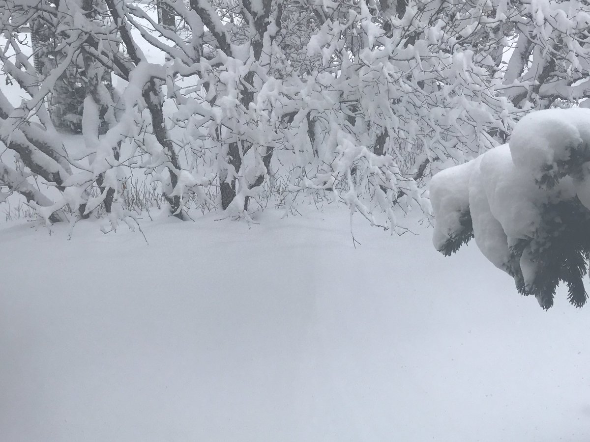 A2schoolssuper On Twitter Hello Annarbor We Are Continuing To Monitor The Approaching Winter Storm Will Communicate Decisions As May Be Needed Today To Keep Our Children Safe Please Stay Tuned As We Move
