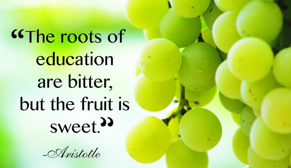 TheGMATCoachUSA's tweet photo. Sign Up For A Free Trial: https://t.co/yGOZ0HF9L1
π : +1-(404)-462-7025
#GMATMATH #GMATCoach #education https://t.co/vPQyCW7Ymm