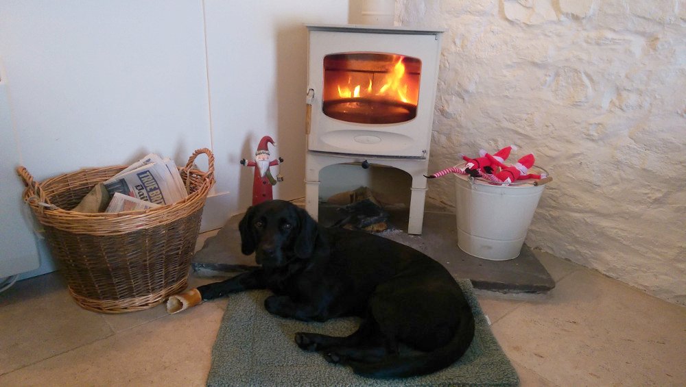 CanineCottages's tweet photo. 8 inches of snow? Staying in by the fire it is then! 😍
Max certainly made the best of a chilly situation at Jacks Barn over the weekend 🐶☃️
https://t.co/8IwKoVTwfg
#Wales #JacksBarn #SnowDay #UKsnow https://t.co/IxbozKtT2Y