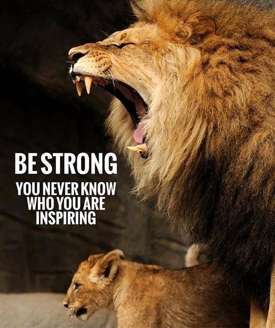 DemocracyStorm's tweet photo. #WednesdayWisdom 
As #sanityreigns in Alabama, realize this:

Donald Trump was right to fear #The Resistance  

🌊VA 
🌊AL 
Next up: 2018 🌊 the USA https://t.co/lvb3IXri2g