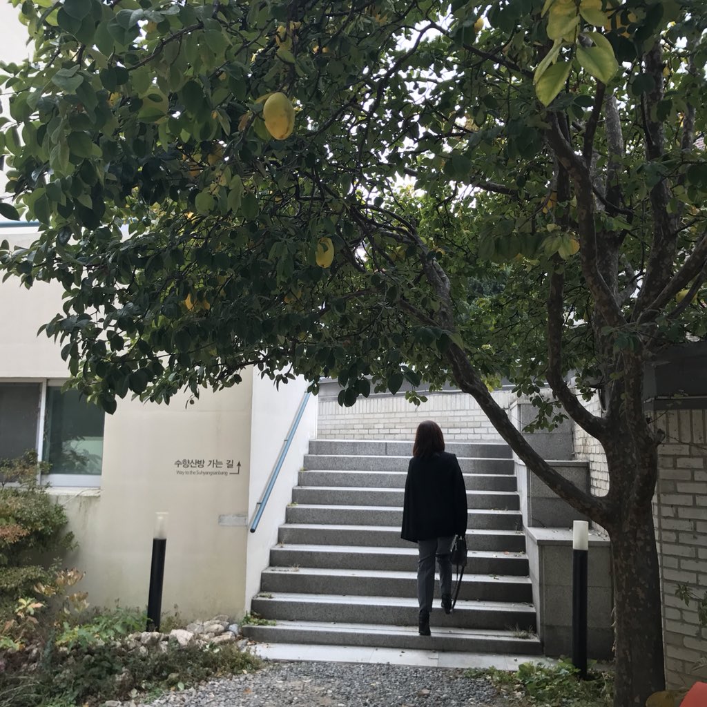 fionasse tweet media