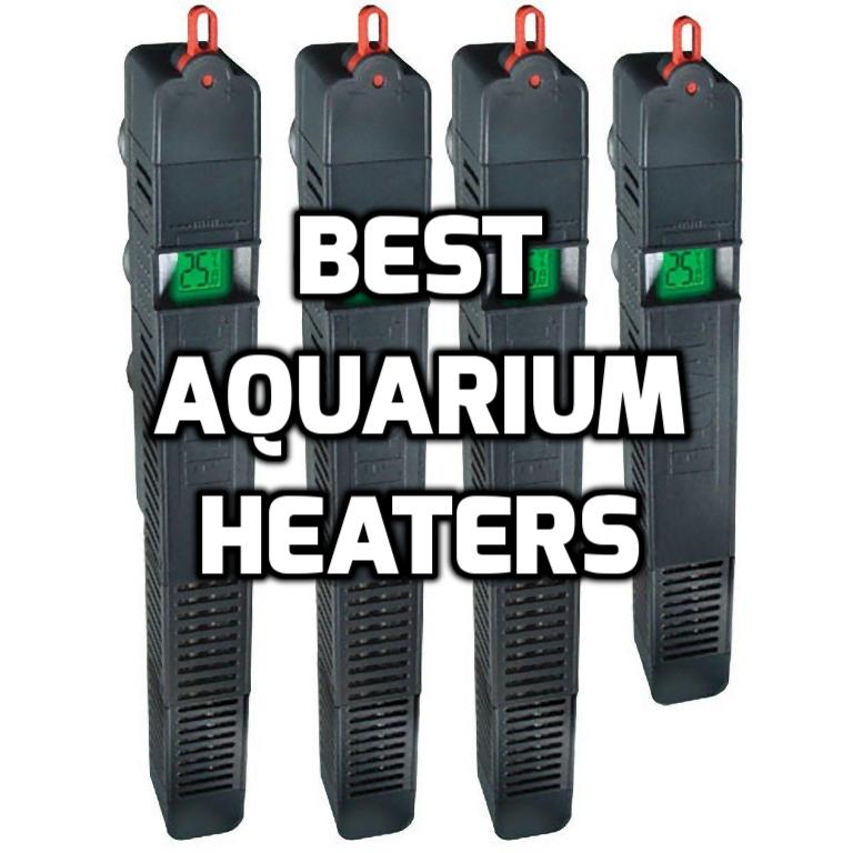 SmallTanksUK's tweet photo. ICYMI

The best heater for your aquarium!

My guide to the our top rated heater

https://t.co/LSt0TJ9GCU https://t.co/m0r4f8KiQf
