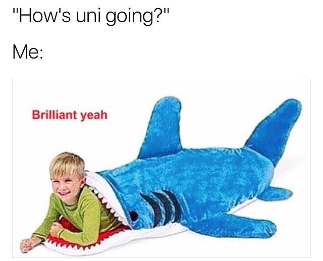 Univershitty (@univershitty_oh) on Twitter photo 