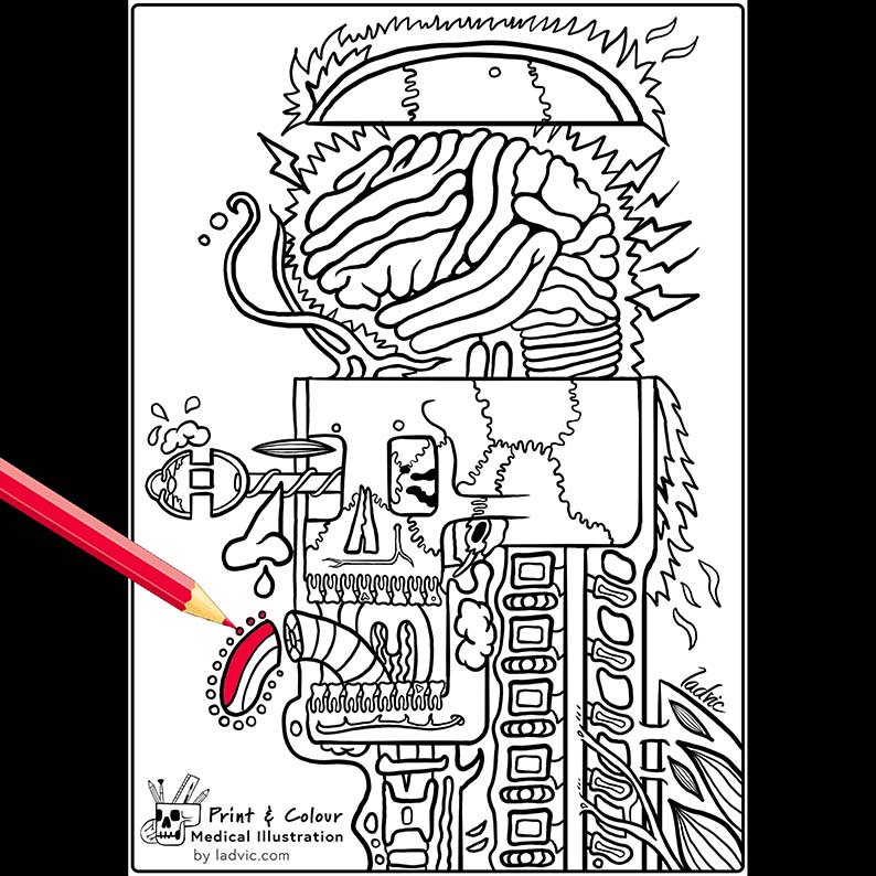 download Engineering Psychology and Cognitive Ergonomics. Understanding Human Cognition: 10th International