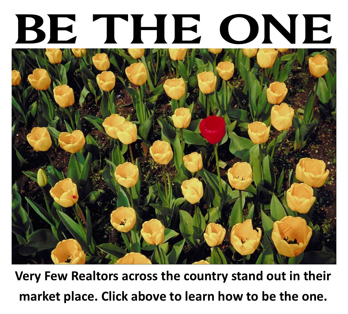 BE THE ONE AD CAMPAIGN, any thoughts?
buyerstrustrealestate.com/connecticutbuy…